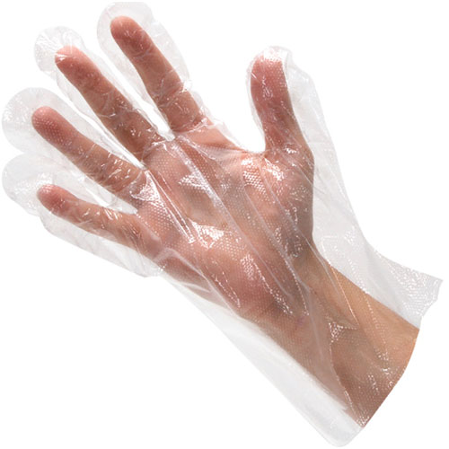 (image for) AllPoints 1331023 GLOVE,DISPOSABLE (100) - Click Image to Close