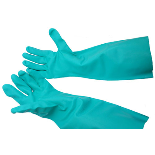 (image for) AllPoints 1421725 GLOVE, GREEN - DISH MED (PAIR)