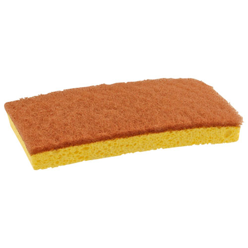 (image for) AllPoints 1591032 SPONGE,SCRUBBING , WALNUTPAD - Click Image to Close
