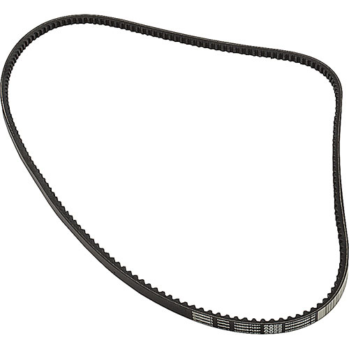 (image for) AllPoints 1591152 BELT,AX55