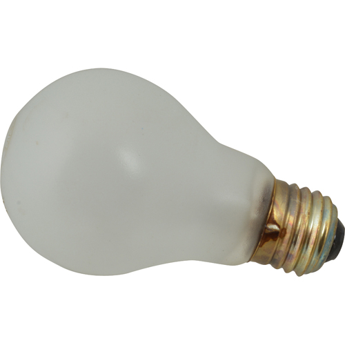 (image for) AllPoints 2531434 BULB, INCN, 130V 100W , A19, CTD - Click Image to Close