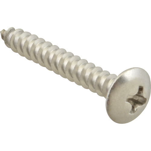 (image for) AllPoints 6120616 SCREW, SM/TH/SS 100