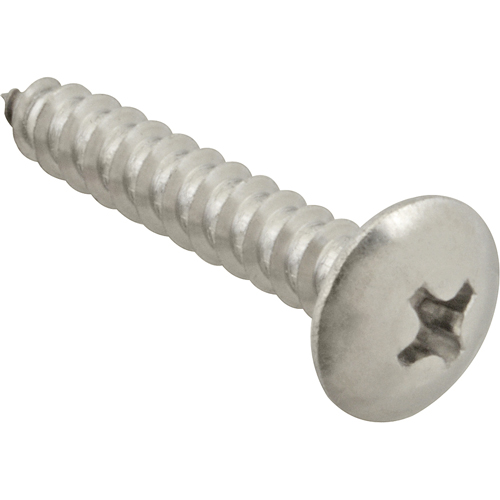 (image for) AllPoints 6120816 SCREW, SM/TH/SS 100 - Click Image to Close