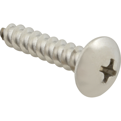 (image for) AllPoints 6121016 SCREW, SM/TH/SS 100