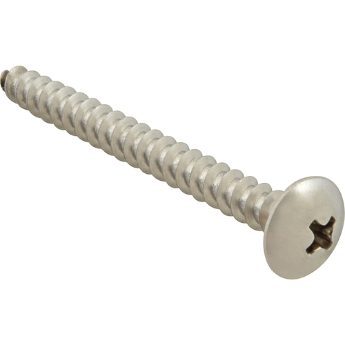 (image for) AllPoints 6121032 SCREW, SM/TH/SS (100) - Click Image to Close