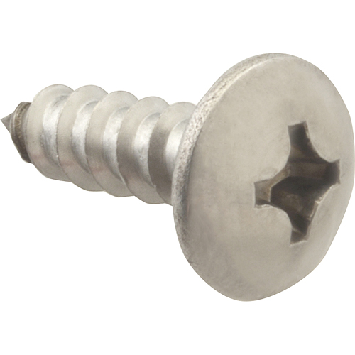 (image for) AllPoints 6121212 SCREW, SM/TH/SS (100)