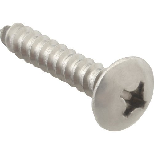(image for) AllPoints 6121220 SCREW, SM/TH/SS (100)