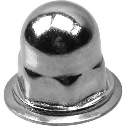 (image for) AllPoints 7141000 NUT, ACORN/NP (100)