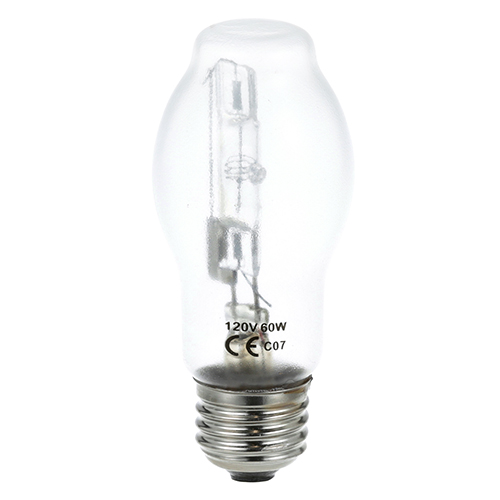 (image for) AllPoints 8011016 LAMP - COATED, HALOGEN, 120V/60W/CLEAR