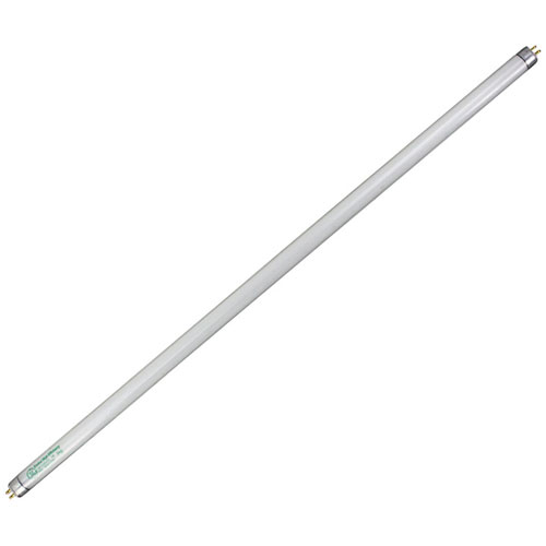 (image for) AllPoints 8011025 LAMP, FLUORESCENT -TUFF COATED, 2FT, CS/12 - Click Image to Close