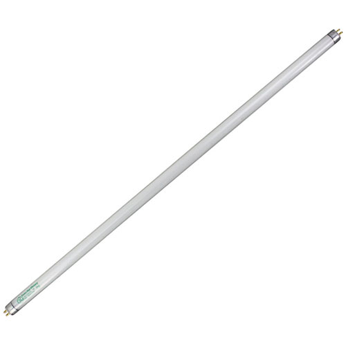 (image for) AllPoints 8011025 LAMP, FLUORESCENT -TUFF COATED, 2FT, CS/12