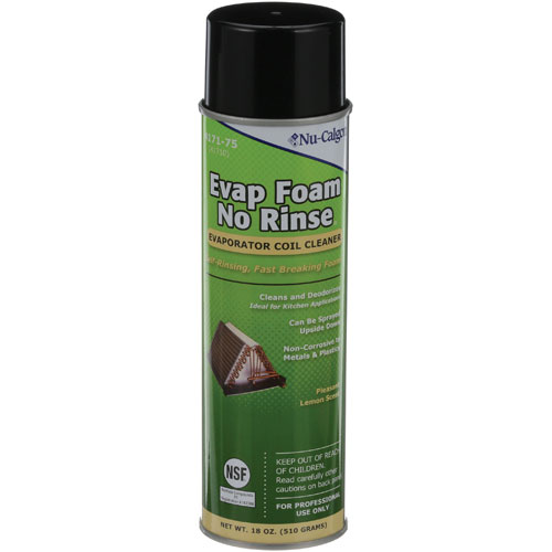 (image for) AllPoints 8012865 EVAP FOAM NO RINSE, 18OZ , NU-CALGON 4171-75