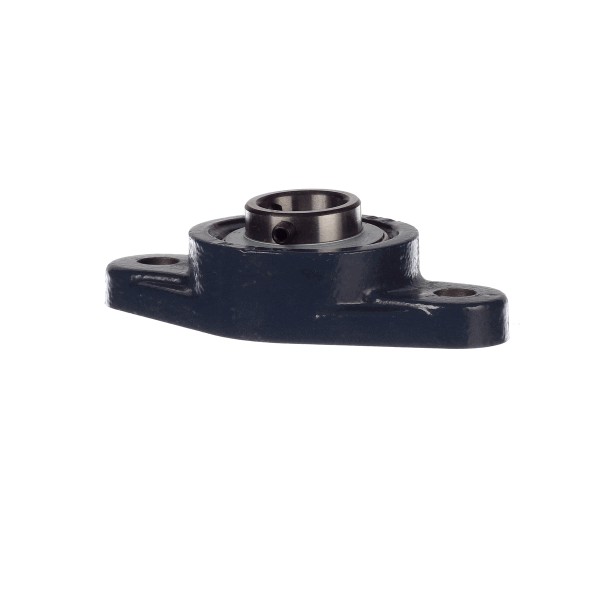(image for) AllPoints 8105153 FLANGE BEARING (1) SPX-300