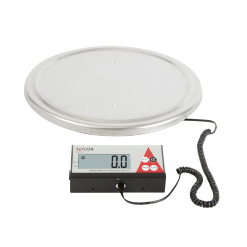 (image for) AllPoints 8121649 Digital 440lb keg scale
