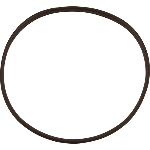 (image for) Blodgett 60959 GASKET, DOOR (CS 6 23)