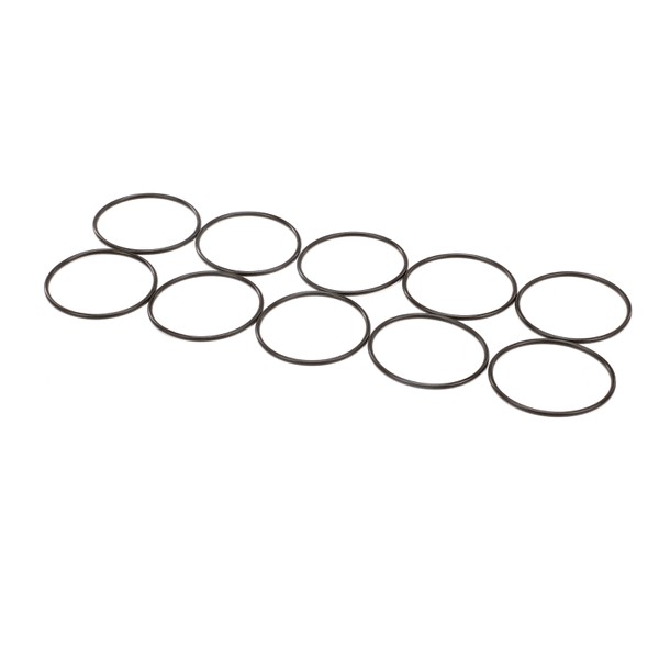 (image for) Carpigiani IC193205040 O-RING KIT 10PC