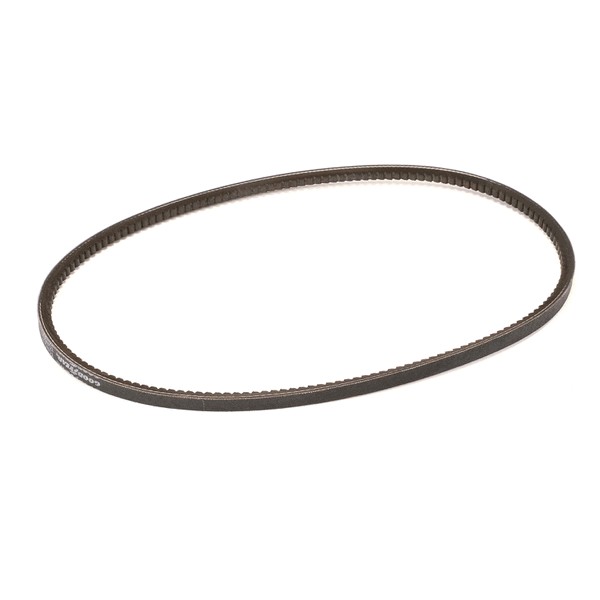 (image for) Carpigiani IC531005526 BELT 9,7X 8 887 XPZ