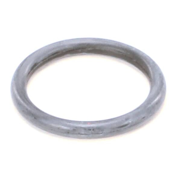 (image for) Carpigiani IC541000132 O-RING 2,62 18,72 NB 70 3075