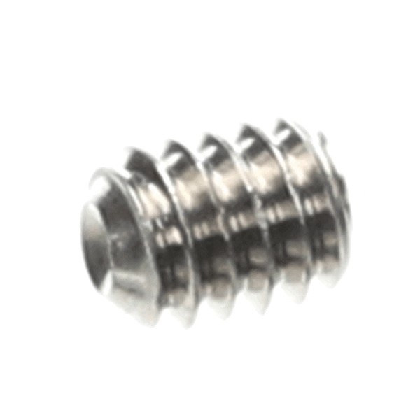 (image for) Champion 0501395 SCREW, SOCKET 1/4-20X5/16 SS