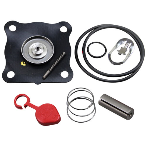 (image for) Champion 104735 REPAIR KIT - Click Image to Close