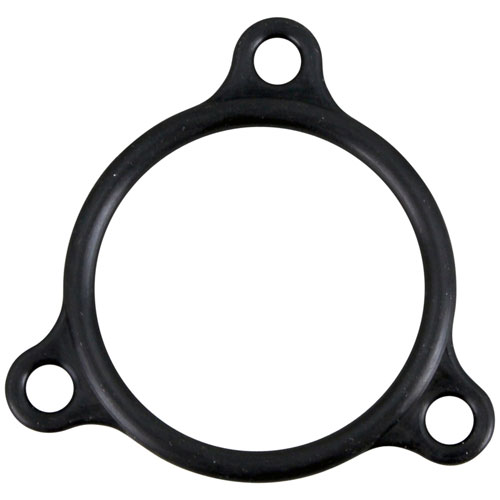 (image for) Champion 109985 HEATER FLANGE SEAL