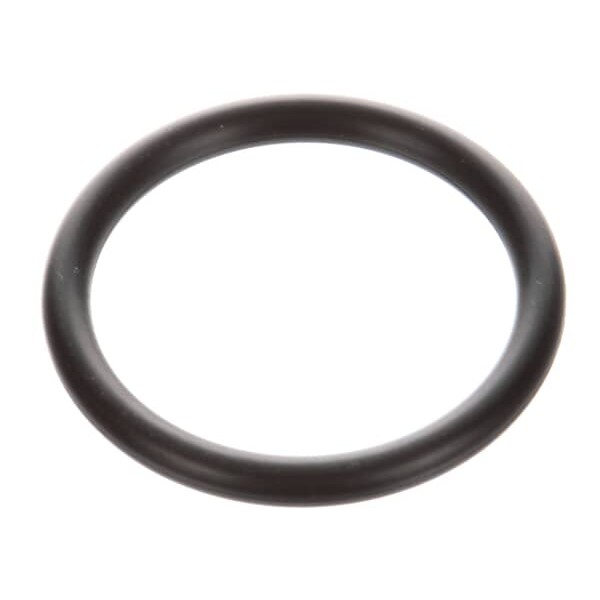 (image for) Champion 111607 O-RING,DRAIN KLEIN