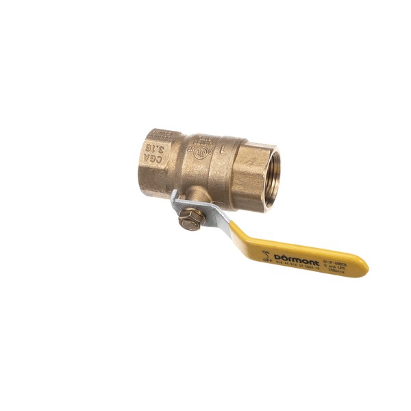 (image for) Dormont 100FVR 1 IN. FULL PORT VALVE