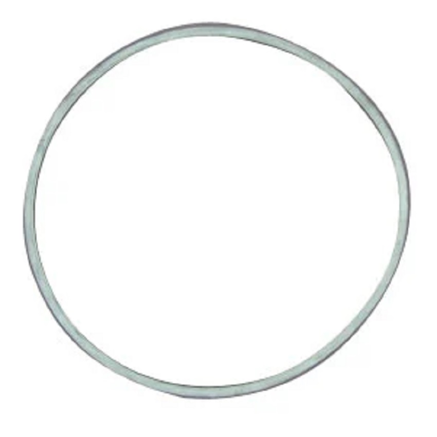 (image for) Everpure EV094400 GASKET SQ. CUT T-9/20 UPC 54568504197