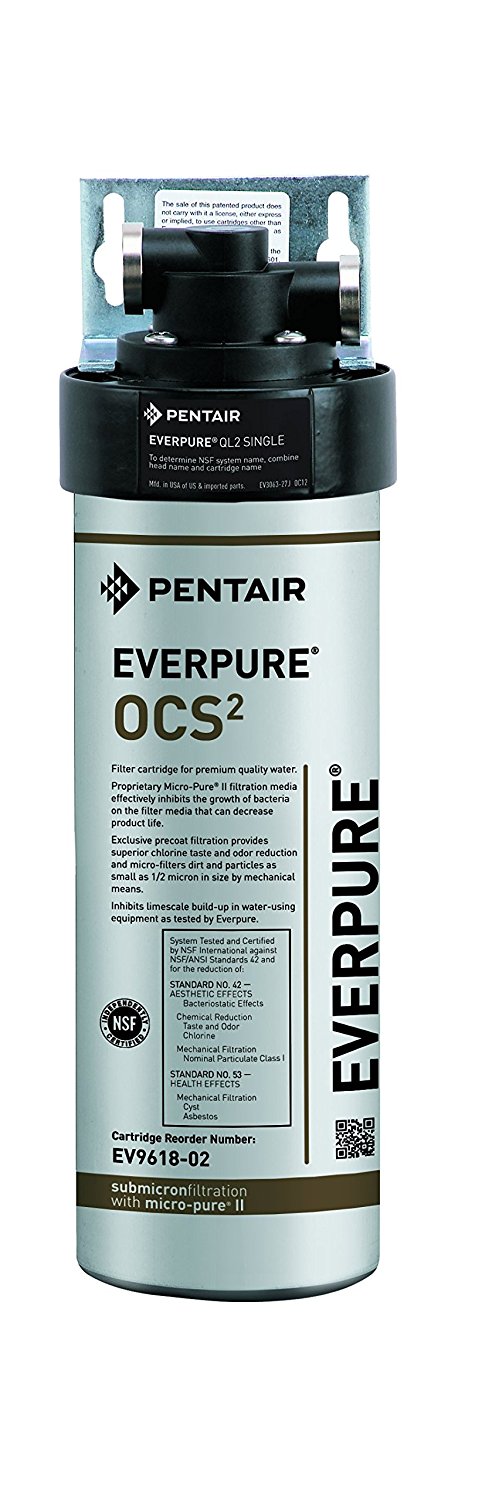 (image for) Everpure EV927560 QL2-OCS WATER FILTER 1PK - Click Image to Close