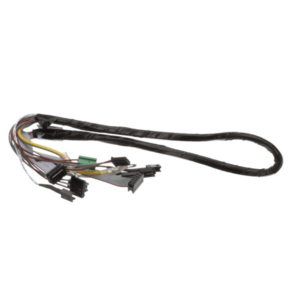 (image for) Fagor 12114419 WIRING HARNESS-BOTTOM