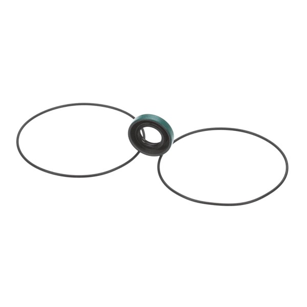 (image for) Falcon 31-01-323 SEAL KIT FOR MTE PUMP