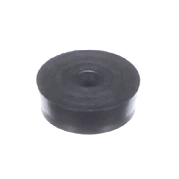 (image for) Fisher 73933 WASHER SEAT DIPPERWELL