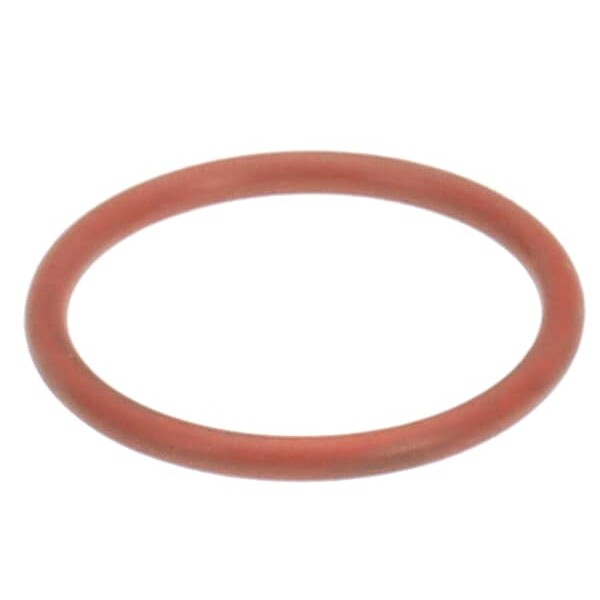 (image for) Follett 01111848 O-RING, #120