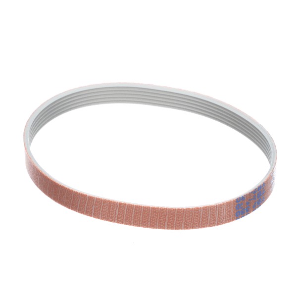 (image for) Globe MCA51 BELT(C9)