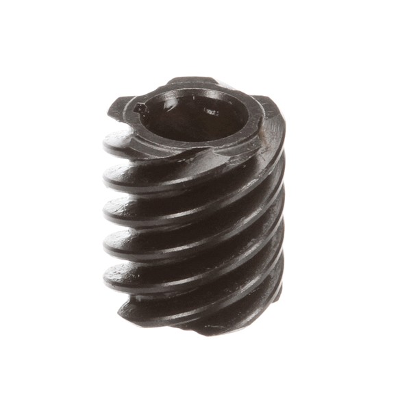 (image for) Globe X20065 WORM (5T)