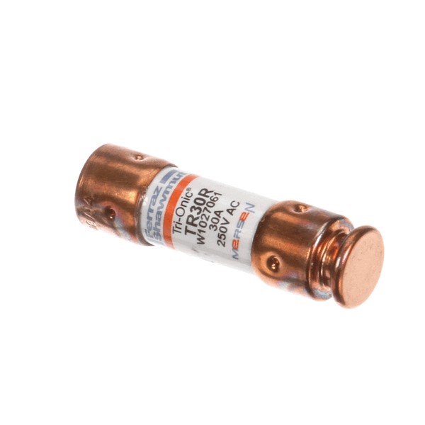 (image for) Grindmaster CA36A FUSE 30 AMP 250V (M150)-FS, EF