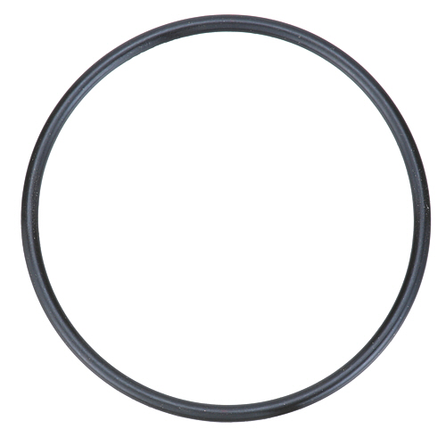 (image for) Hoshizaki 4A4755-02 O-RING JIS G65