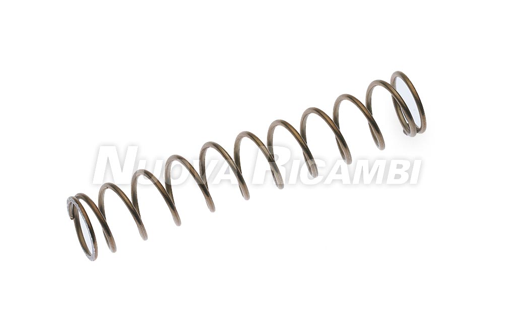 (image for) Nuova Ricambi SRL 403788 SPRING (in group piston) - Click Image to Close