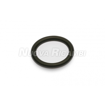 (image for) Nuova Ricambi SRL 700273 O-RING - Click Image to Close