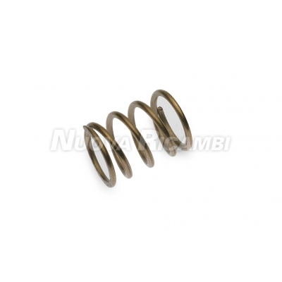 (image for) Nuova Ricambi SRL 700448 STEAM VALVE SPRING - Click Image to Close