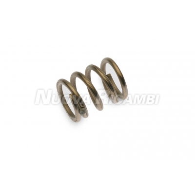 (image for) Nuova Ricambi SRL 700452 VALVE SPRING - Click Image to Close