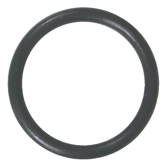 (image for) Omnipure QORS Q Series Filter Head O Ring Small