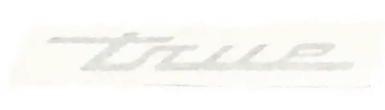 (image for) True 200939 Nameplate True Decal Silver Vinyl